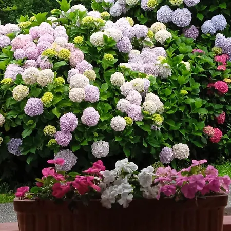 Rurales Aginaga Апарт-отель