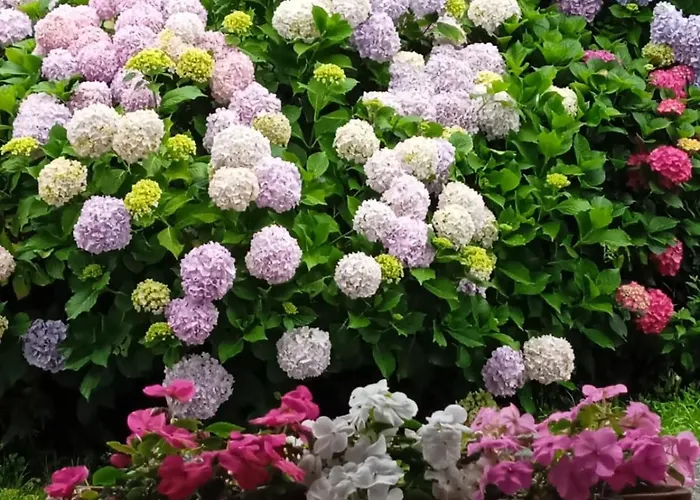 Rurales Aginaga Aparthotel